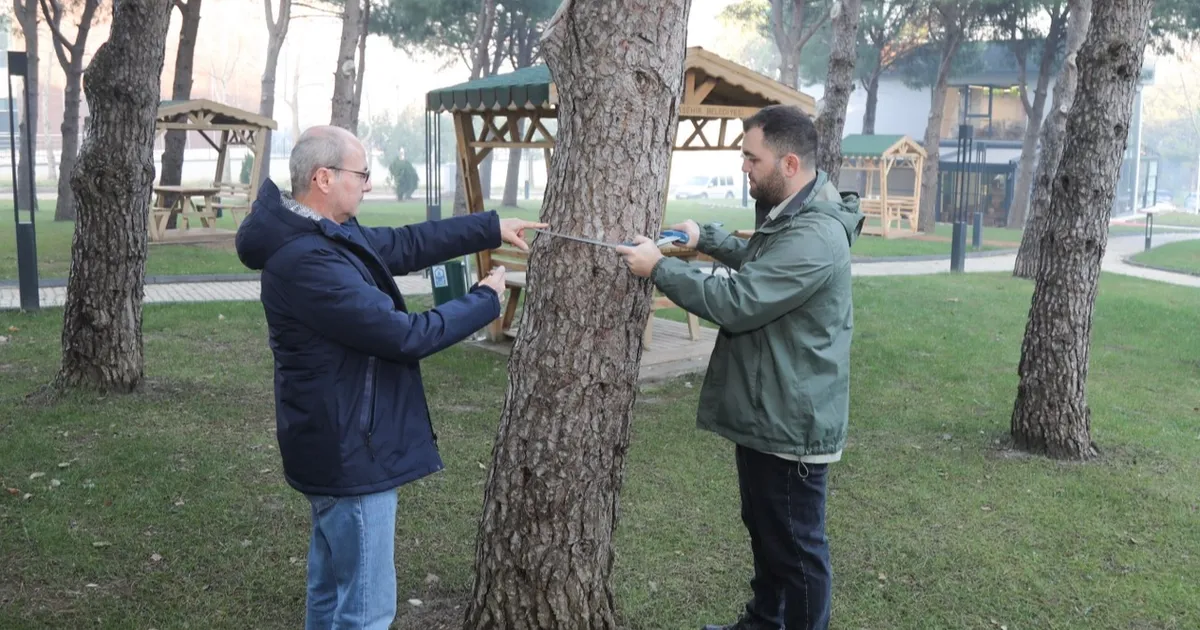 BTÜ’de orman envanterine katkı sağlayacak proje geliştiriliyor